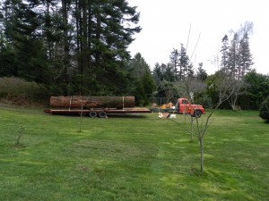 old growth fir log with sesb red truck_edited-2
