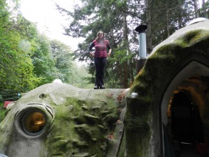 my house ..._edited-1