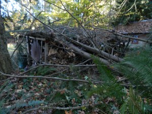 boatshed with hemlock on top