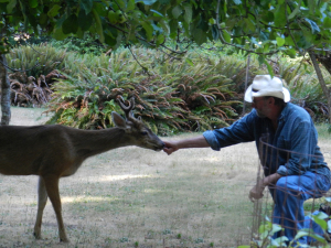 buck whisperer_edited-2