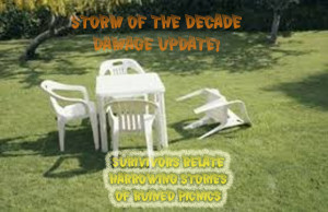 storm-of-the-decade-damage